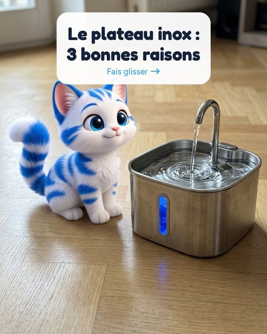 Le plateau inox de notre fontaine, en 3 raisons.
