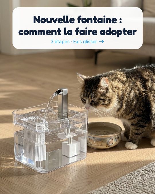 Nouvelle fontaine : comment la faire adopter en 3 étapes.