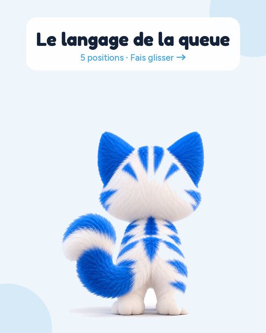 Le langage de la queue, en 5 positions.