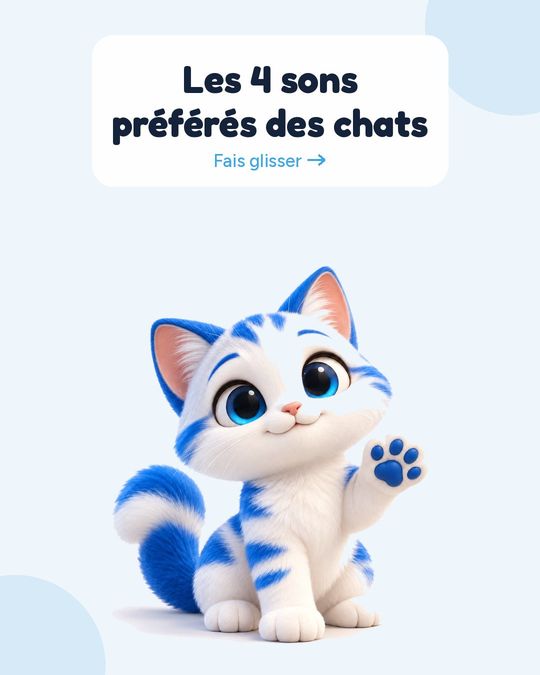 Les 4 sons préférés des chats.